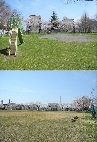 河原木団地さくら公園