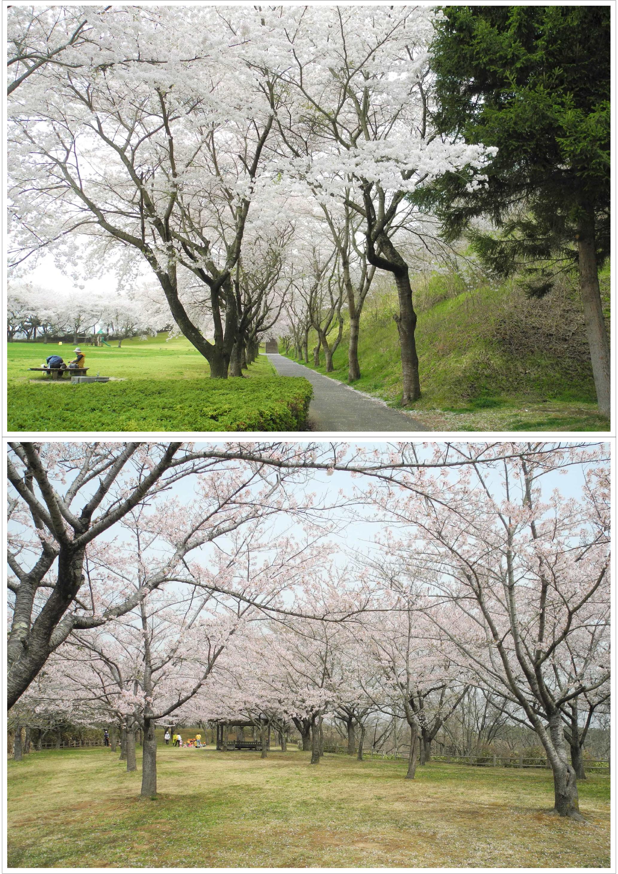 河原木・南部山公園