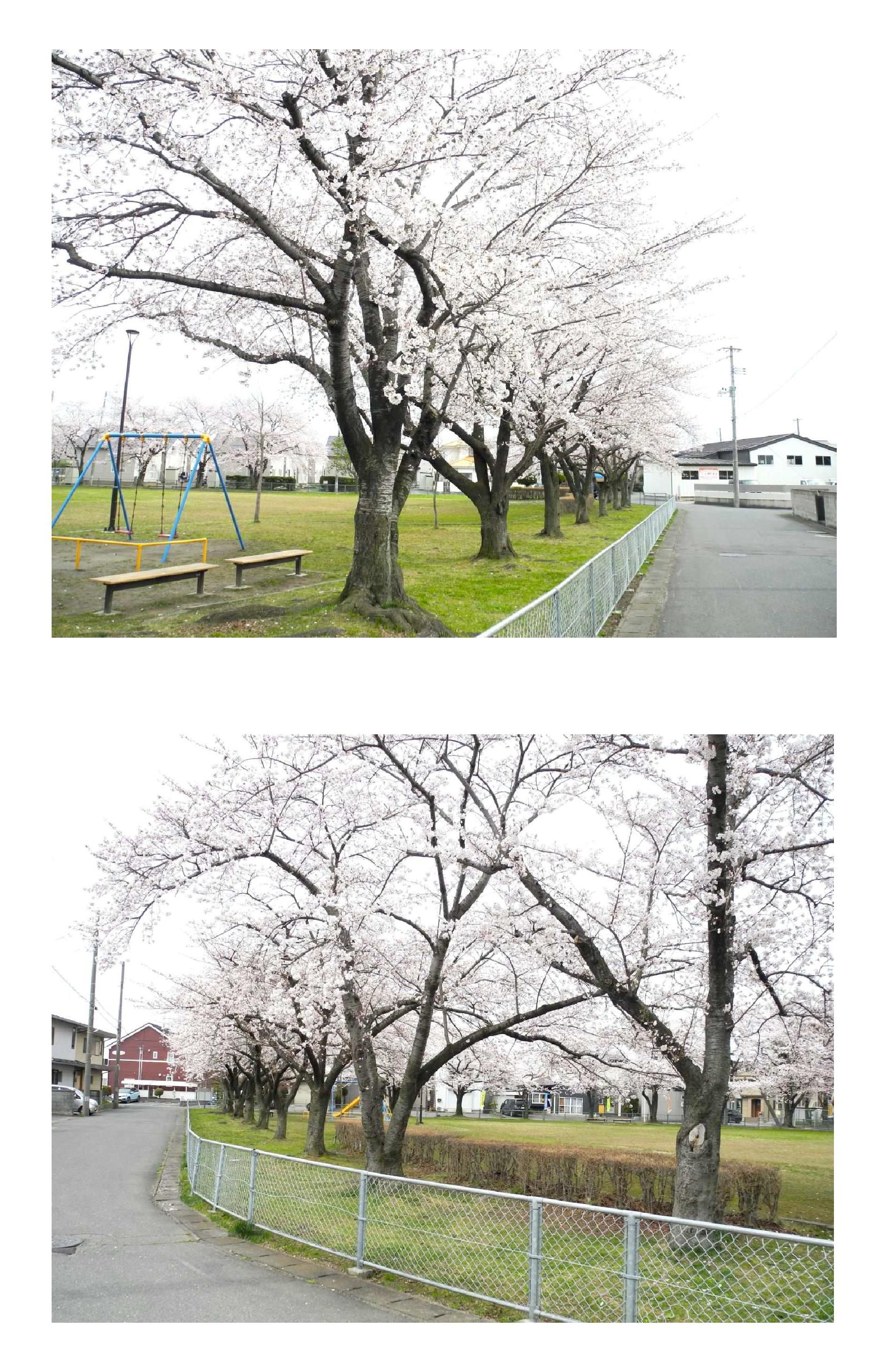 石堂・城北たんぽぽ公園