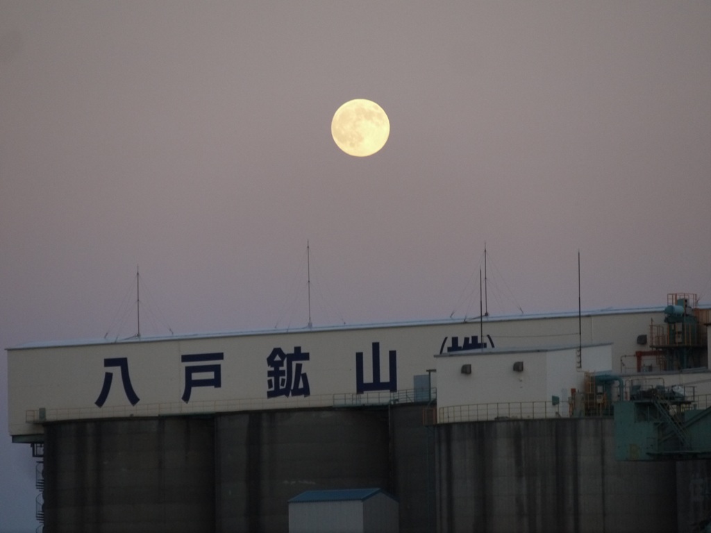 ザボンの月