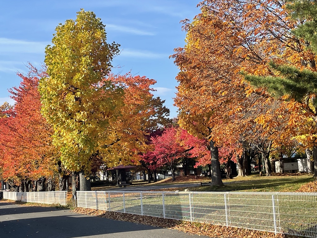 石堂2丁目の石堂第1号公園の紅葉