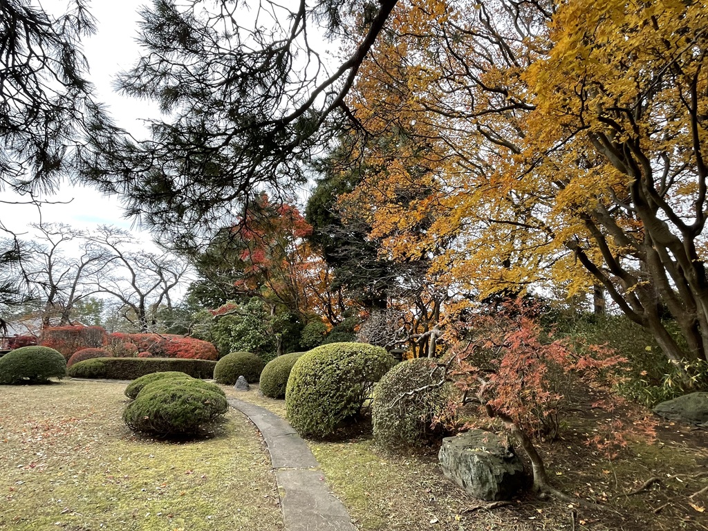南部氏庭園に紅葉を見に行ってきました!!
